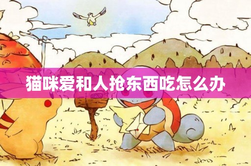 貓咪愛和人搶東西吃怎么辦