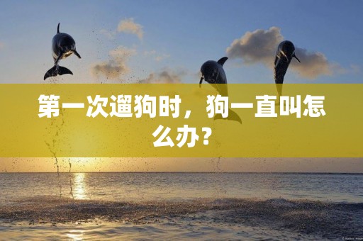 第一次遛狗時，狗一直叫怎么辦？