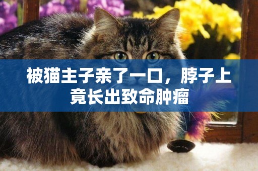 被貓主子親了一口，脖子上竟長出致命腫瘤