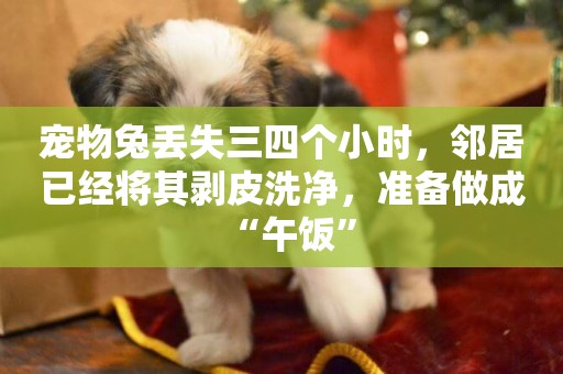 寵物兔丟失三四個小時，鄰居已經將其剝皮洗凈，準備做成“午飯”