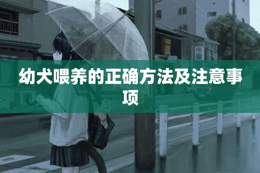 幼犬喂養的正確方法及注意事項
