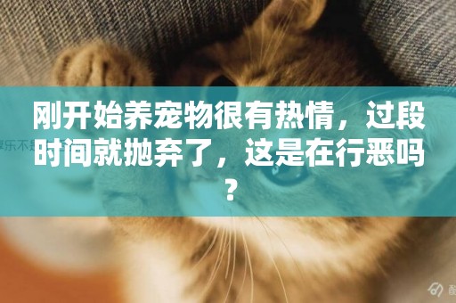 剛開始養寵物很有熱情，過段時間就拋棄了，這是在行惡嗎？