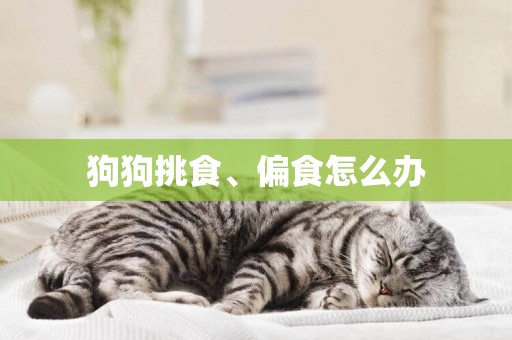 狗狗挑食、偏食怎么辦