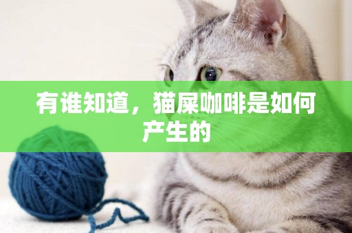 有誰知道，貓屎咖啡是如何產生的