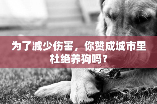 為了減少傷害，你贊成城市里杜絕養狗嗎？