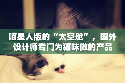 喵星人版的“太空艙”，國外設計師專門為貓咪做的產品