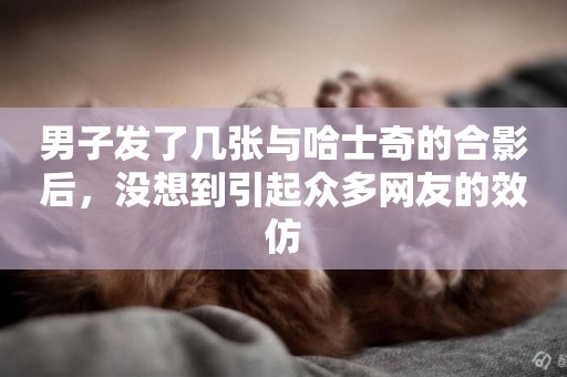男子發了幾張與哈士奇的合影后，沒想到引起眾多網友的效仿