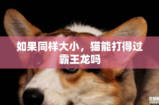 如果同樣大小，貓能打得過霸王龍嗎