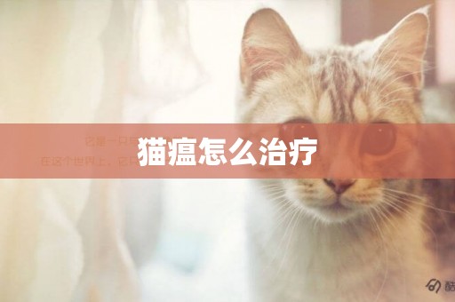 貓瘟怎么治療