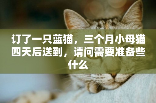 訂了一只藍貓，三個月小母貓四天后送到，請問需要準備些什么
