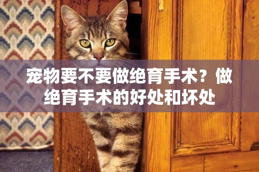 寵物要不要做絕育手術？做絕育手術的好處和壞處