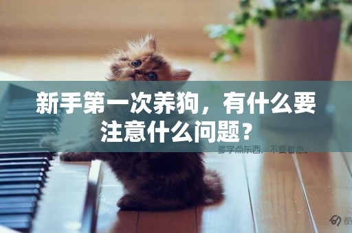新手第一次養狗，有什么要注意什么問題？