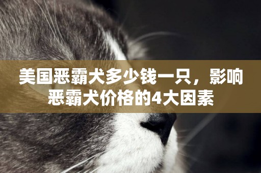 美國惡霸犬多少錢一只，影響惡霸犬價格的4大因素