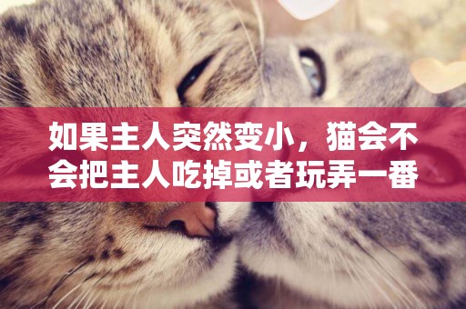 如果主人突然變小，貓會不會把主人吃掉或者玩弄一番呢