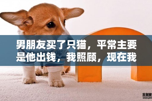 男朋友買了只貓，平常主要是他出錢，我照顧，現在我倆分手，都想
