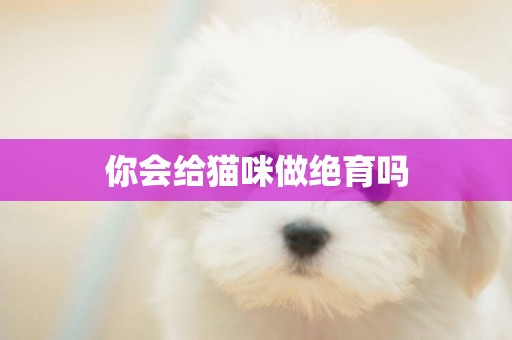 你會給貓咪做絕育嗎
