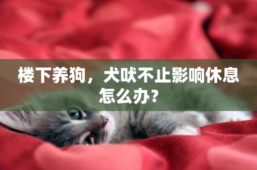 樓下養狗，犬吠不止影響休息怎么辦？