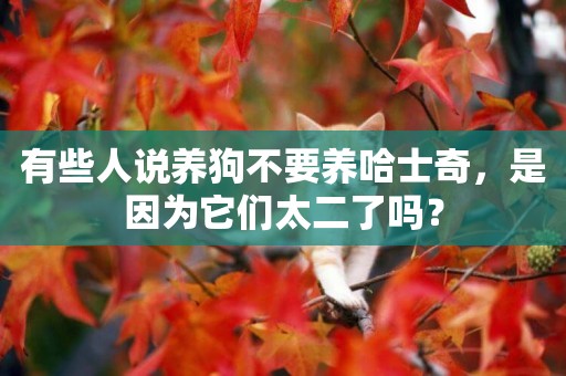 有些人說養狗不要養哈士奇，是因為它們太二了嗎？