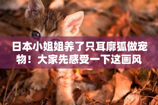 日本小姐姐養了只耳廓狐做寵物！大家先感受一下這畫風