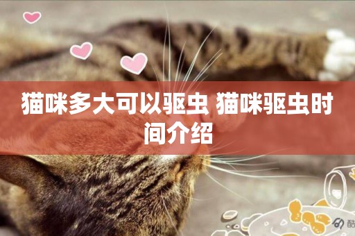 貓咪多大可以驅蟲 貓咪驅蟲時間介紹
