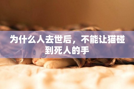為什么人去世后，不能讓貓碰到死人的手