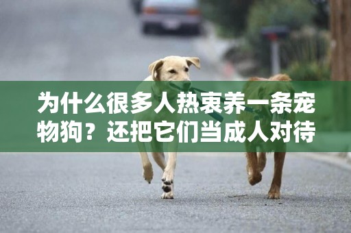 為什么很多人熱衷養一條寵物狗？還把它們當成人對待