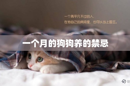 一個月的狗狗養的禁忌