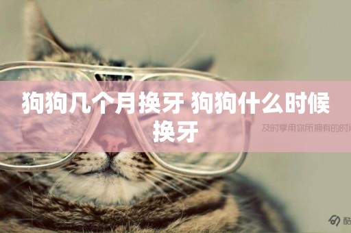 狗狗幾個月換牙 狗狗什么時候換牙