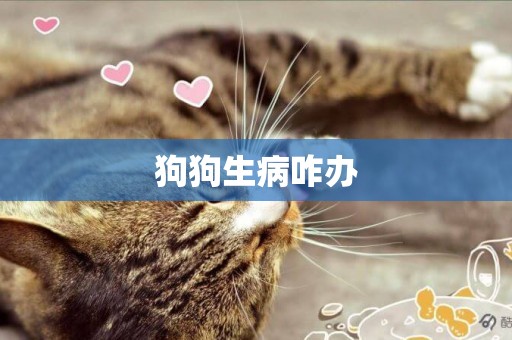 狗狗生病咋辦 狗狗生病咋辦