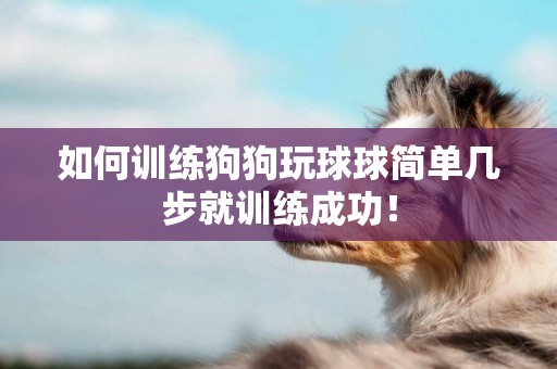 如何訓練狗狗玩球球簡單幾步就訓練成功！