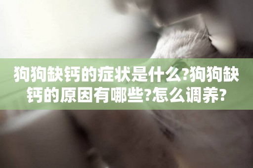狗狗缺鈣的癥狀是什么?狗狗缺鈣的原因有哪些?怎么調養?