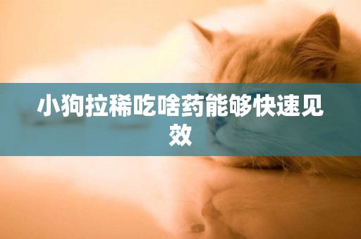 小狗拉稀吃啥藥能夠快速見效