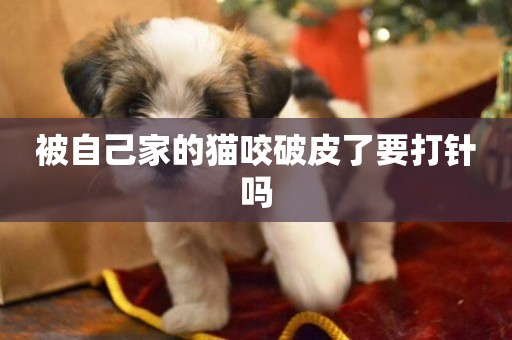 被自己家的貓咬破皮了要打針嗎