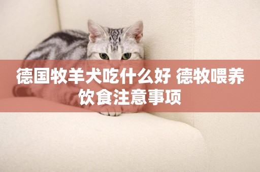 德國牧羊犬吃什么好 德牧喂養飲食注意事項
