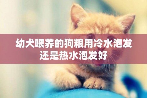 幼犬喂養的狗糧用冷水泡發還是熱水泡發好