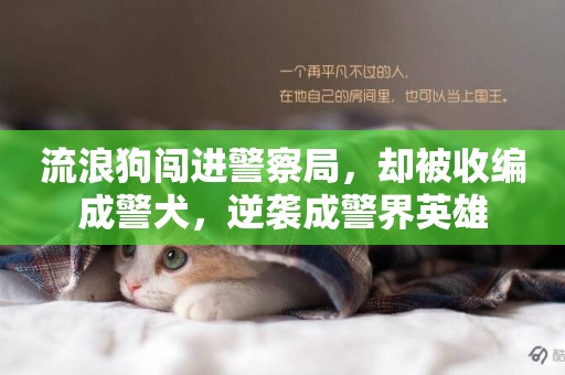 流浪狗闖進警察局，卻被收編成警犬，逆襲成警界英雄