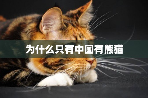 為什么只有中國有熊貓