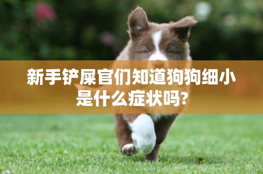 新手鏟屎官們知道狗狗細小是什么癥狀嗎?