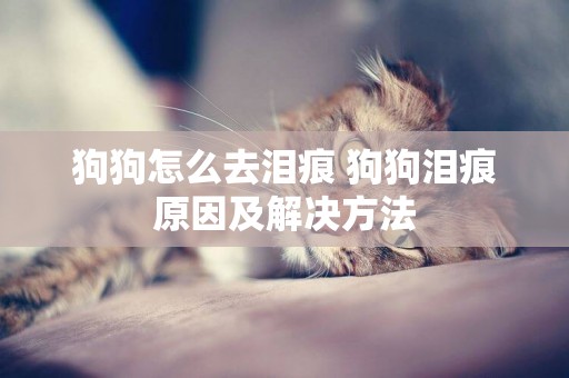狗狗怎么去淚痕 狗狗淚痕原因及解決方法