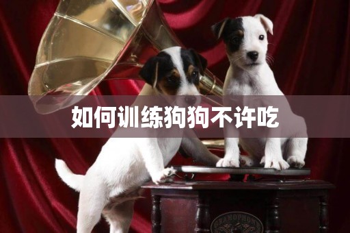 如何訓練狗狗不許吃