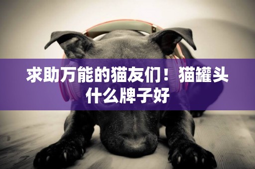 求助萬能的貓友們！貓罐頭什么牌子好