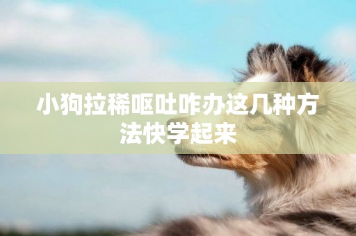 小狗拉稀嘔吐咋辦這幾種方法快學起來