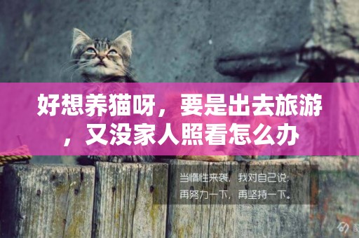 好想養貓呀，要是出去旅游，又沒家人照看怎么辦