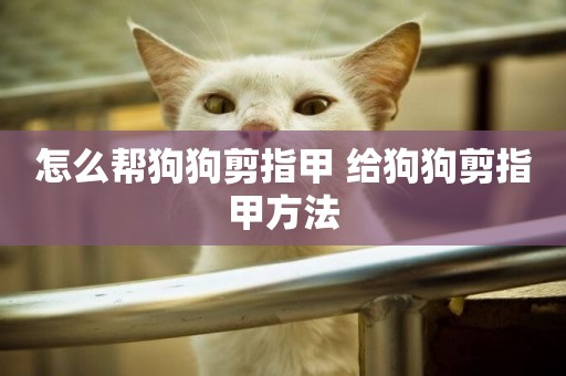 怎么幫狗狗剪指甲 給狗狗剪指甲方法