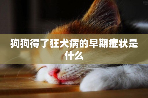 狗狗得了狂犬病的早期癥狀是什么