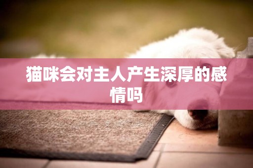 貓咪會對主人產生深厚的感情嗎