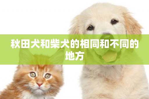 秋田犬和柴犬的相同和不同的地方
