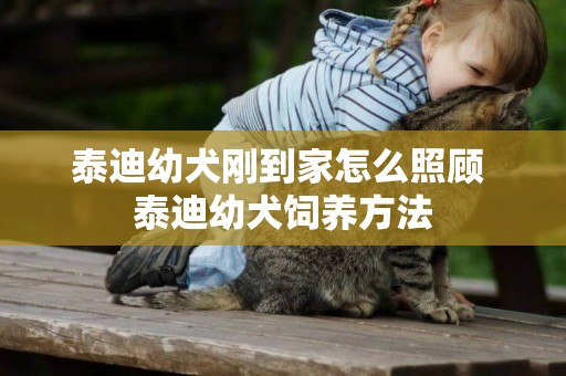 泰迪幼犬剛到家怎么照顧 泰迪幼犬飼養方法