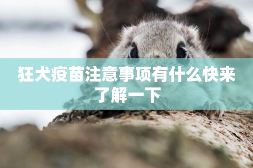 狂犬疫苗注意事項有什么快來了解一下