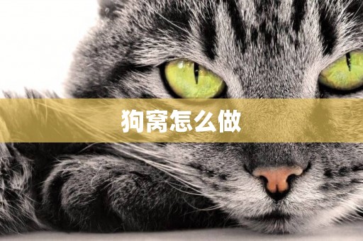 狗窩怎么做